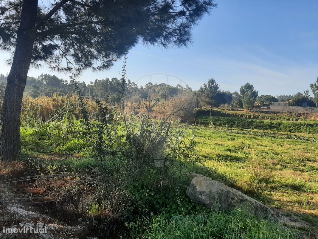 Terreno  para venda