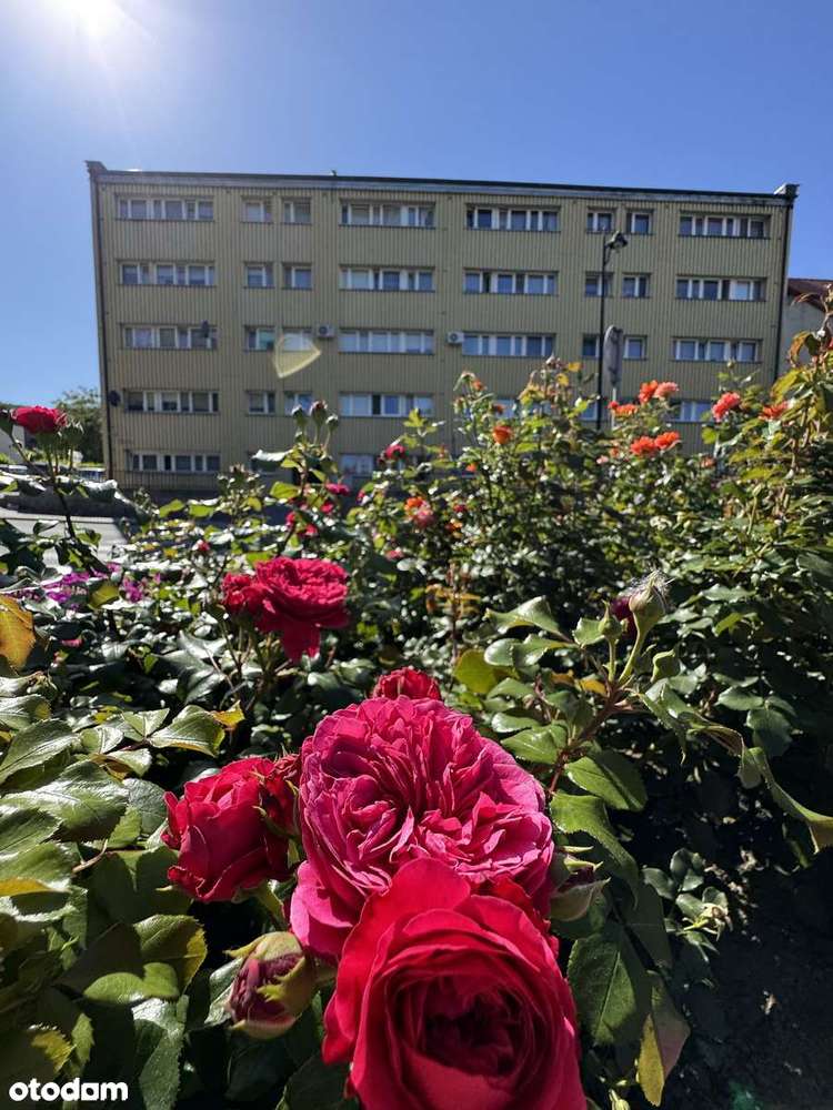 2 pokoje centrum Sobótki parter 39,70mkw NOWA CENA!-9