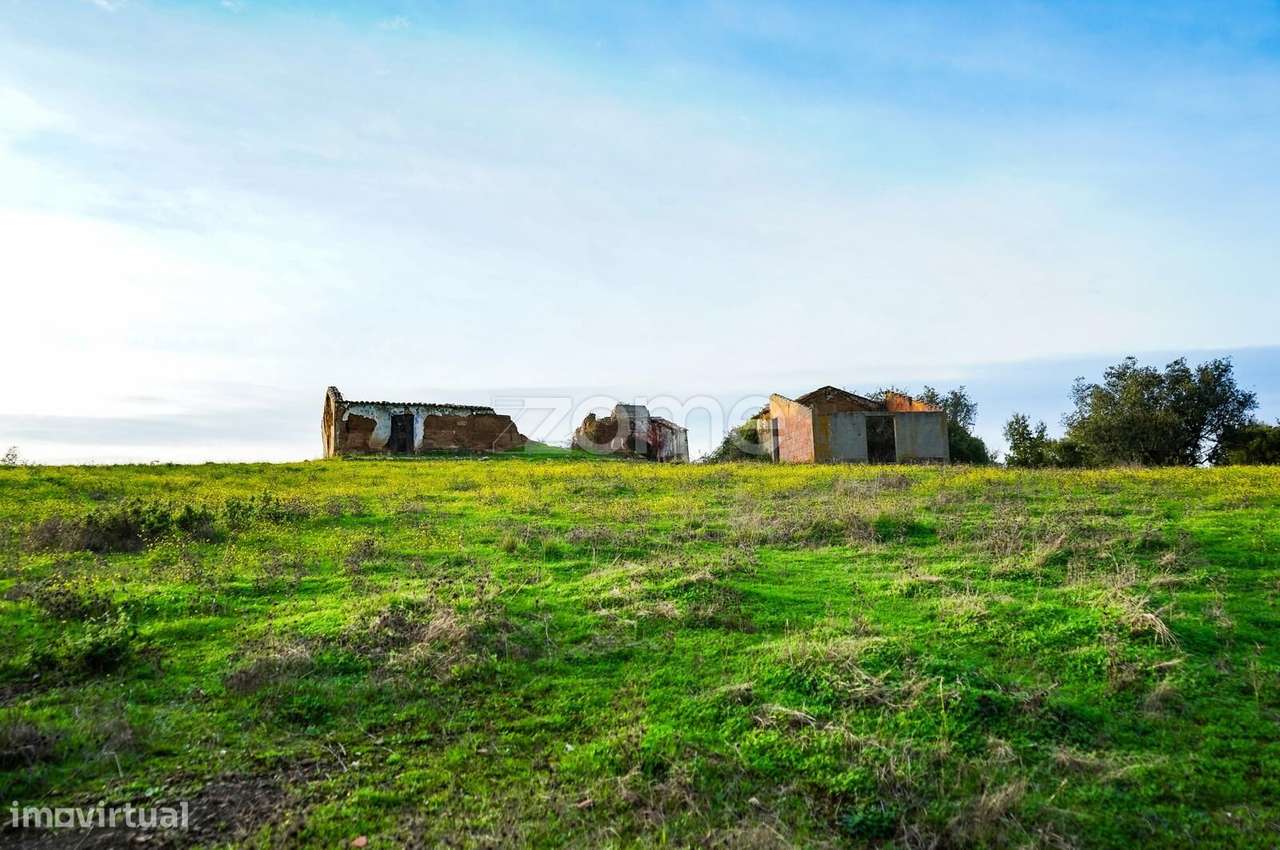 Terreno Misto 21HA - Grande imagem: 2/18