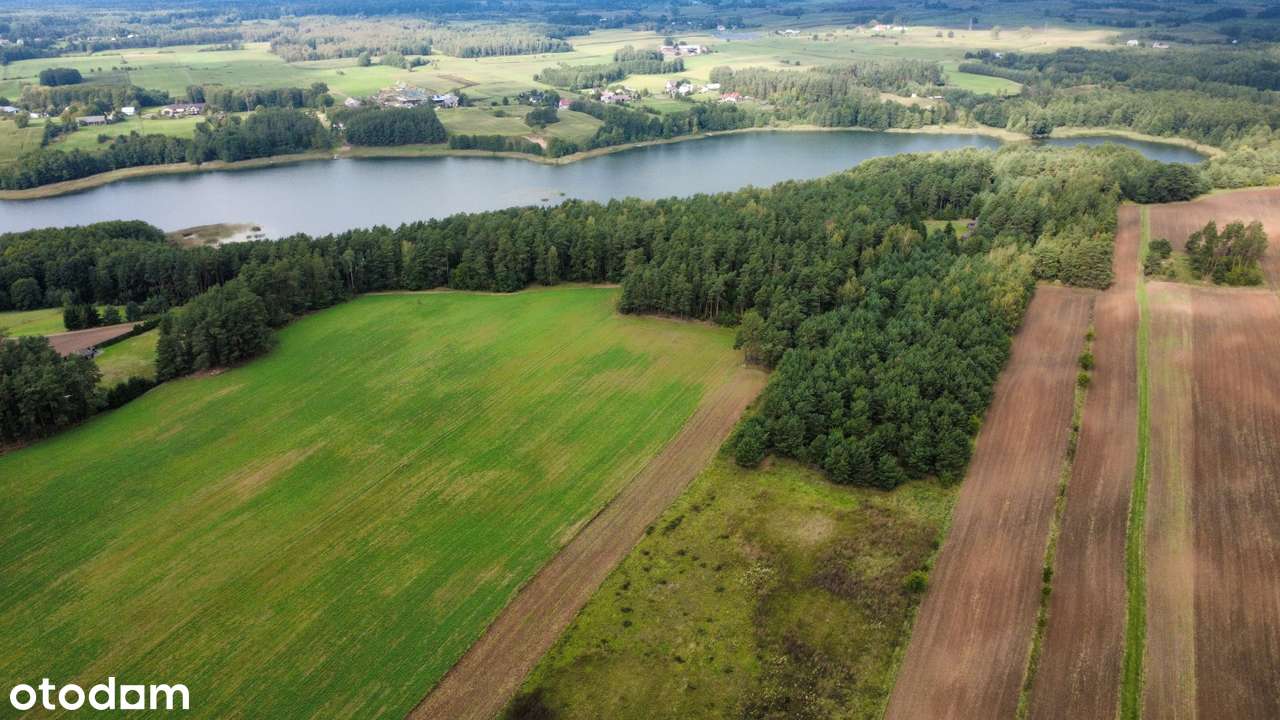 Krasnopol – działka pod lasem w okolicy Jeziora Żubrowo - Pełny obrazek: 4/5