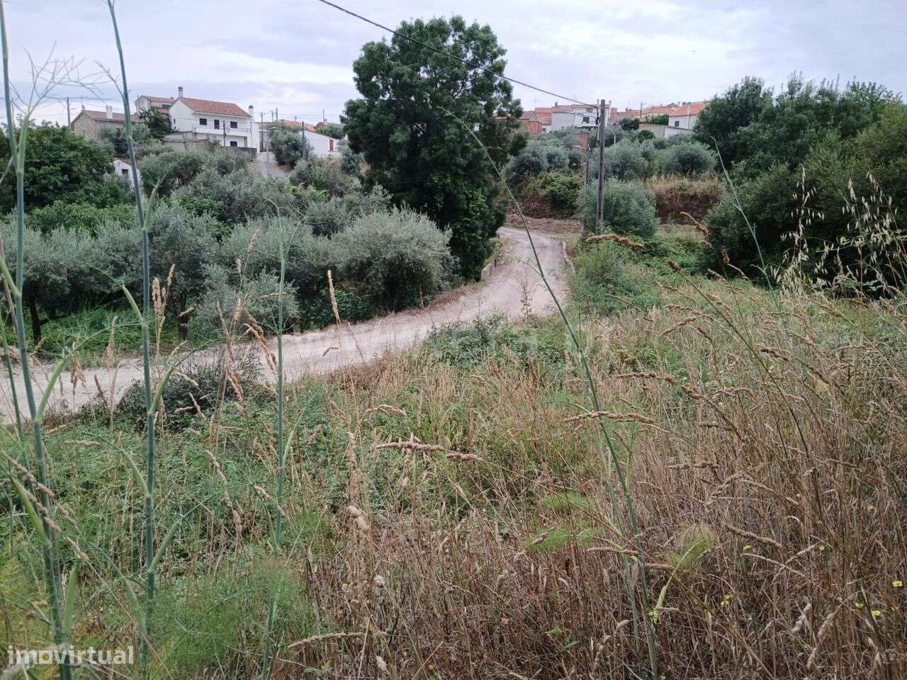 Terreno / Fundão, Atalaia do Campo - Grande imagem: 2/9