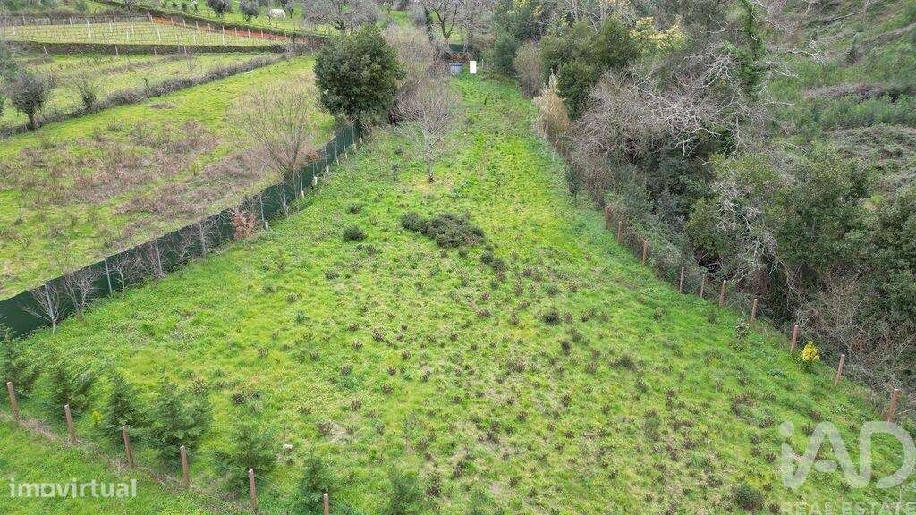 Terreno Agrícola em Lousã e Vilarinho - Grande imagem: 5/23