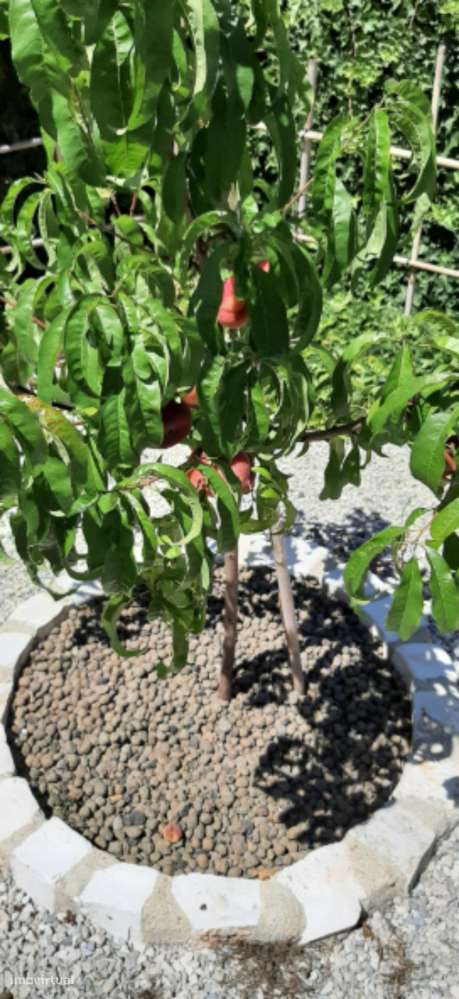 Casa com 2 quartos - localizado em Setubal - Grande imagem: 4/9