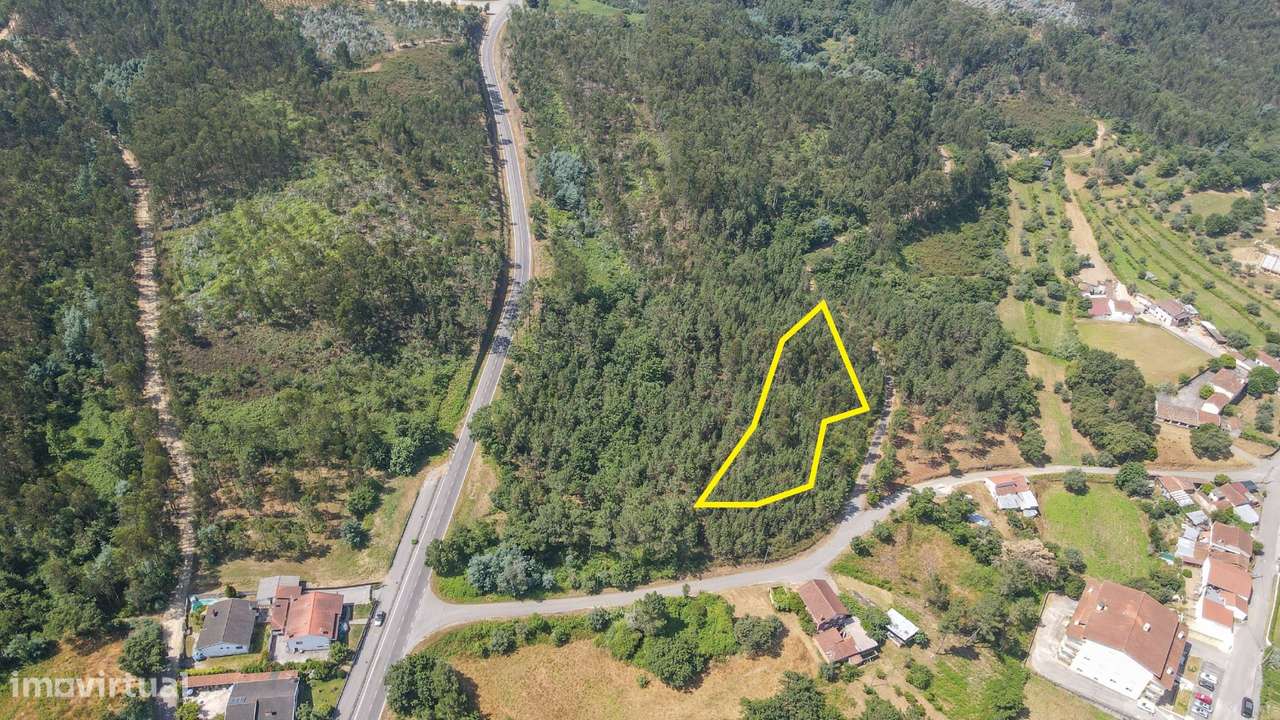 Terreno de Construção em Vila Nova de Poiares - Grande imagem: 3/14