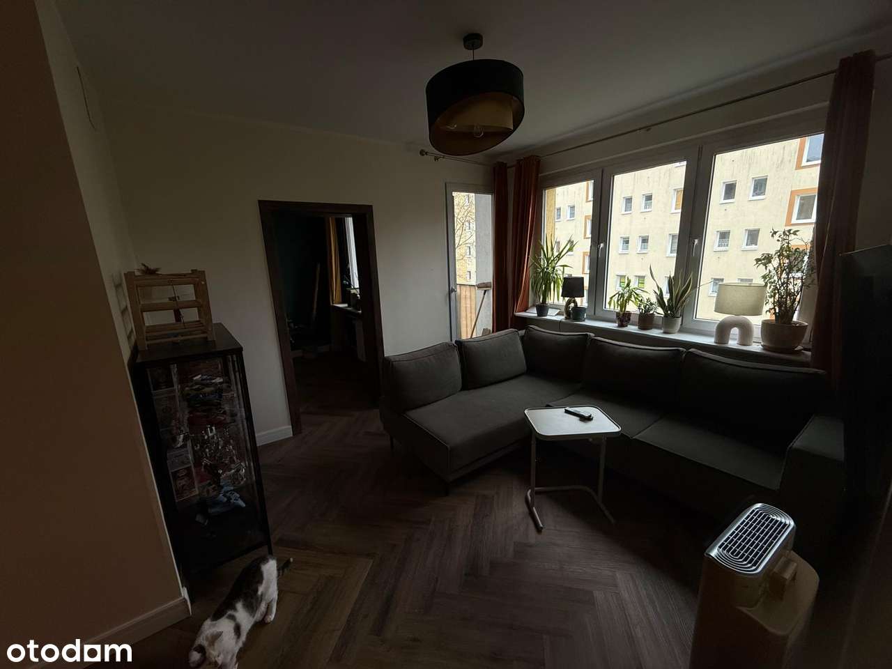 Przestronny 4-pokojowy apartament z 2 balkonami i oknami na 3 kierunki - Pełny obrazek: 2/20