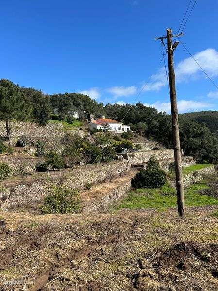 Quinta em Monchique Vale de Figueiras