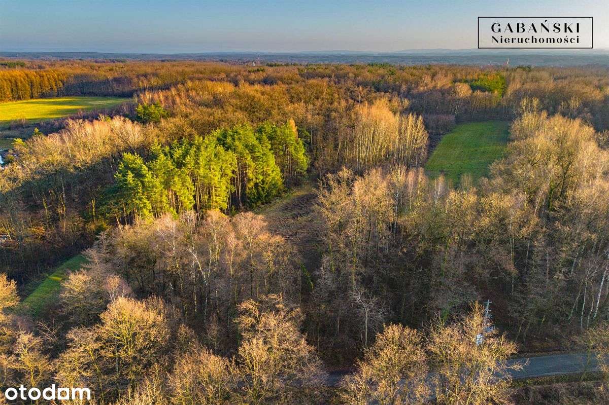 Działka budowlana na sprzedaż - Zaczarnie-3