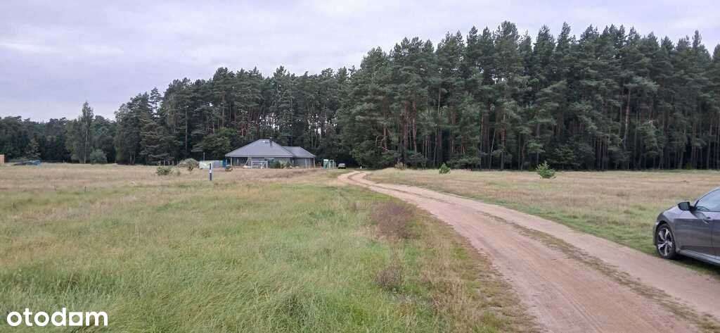 Cisza, zieleń, media – działka budowlana Wielgowo-2