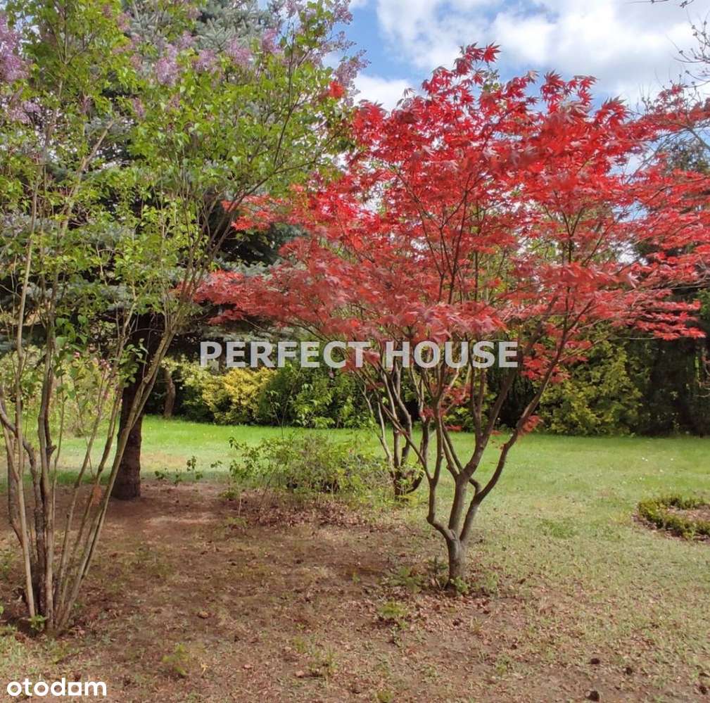 Piękne Działki Podolany - Pełny obrazek: 2/2