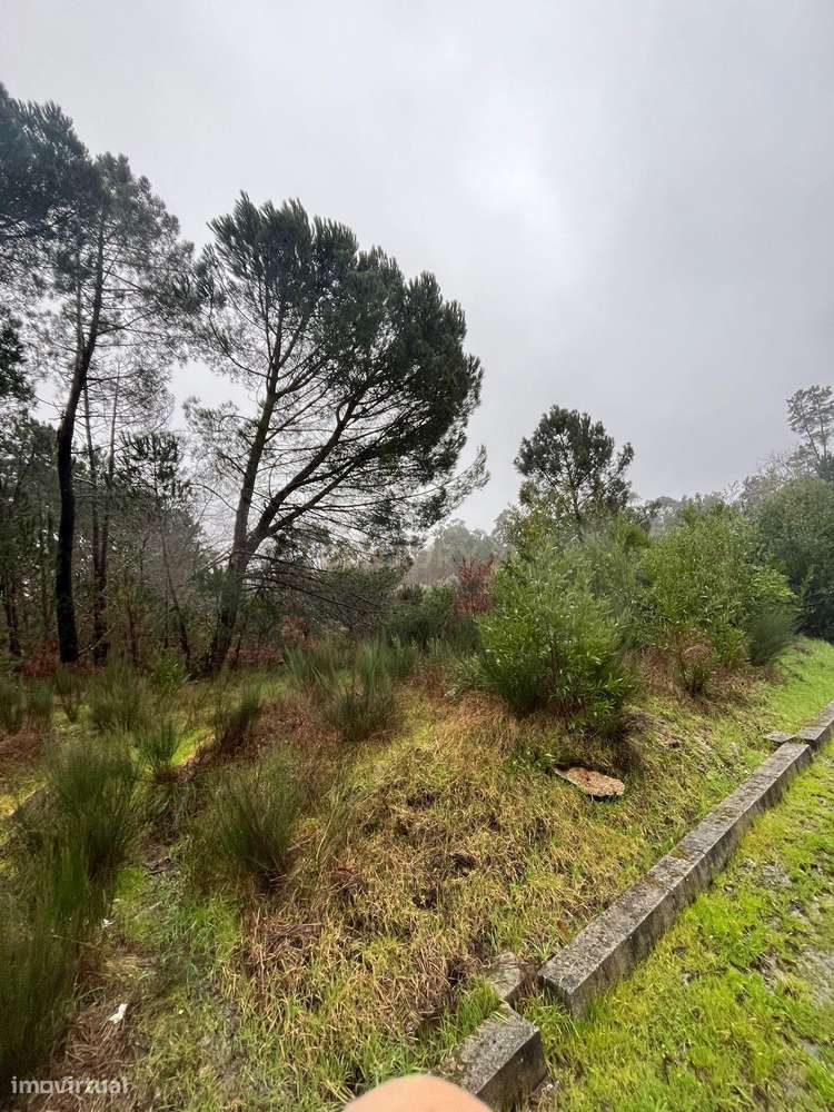 Terreno rústico para venda próximo de Viseu - Grande imagem: 4/4