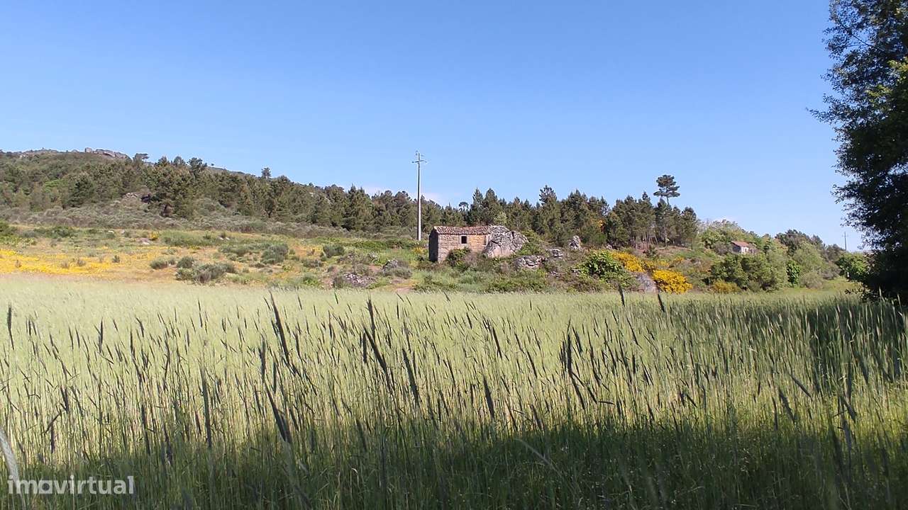 Quinta com Vista para a Serra da Estrela – Um Refúgio Natural-8