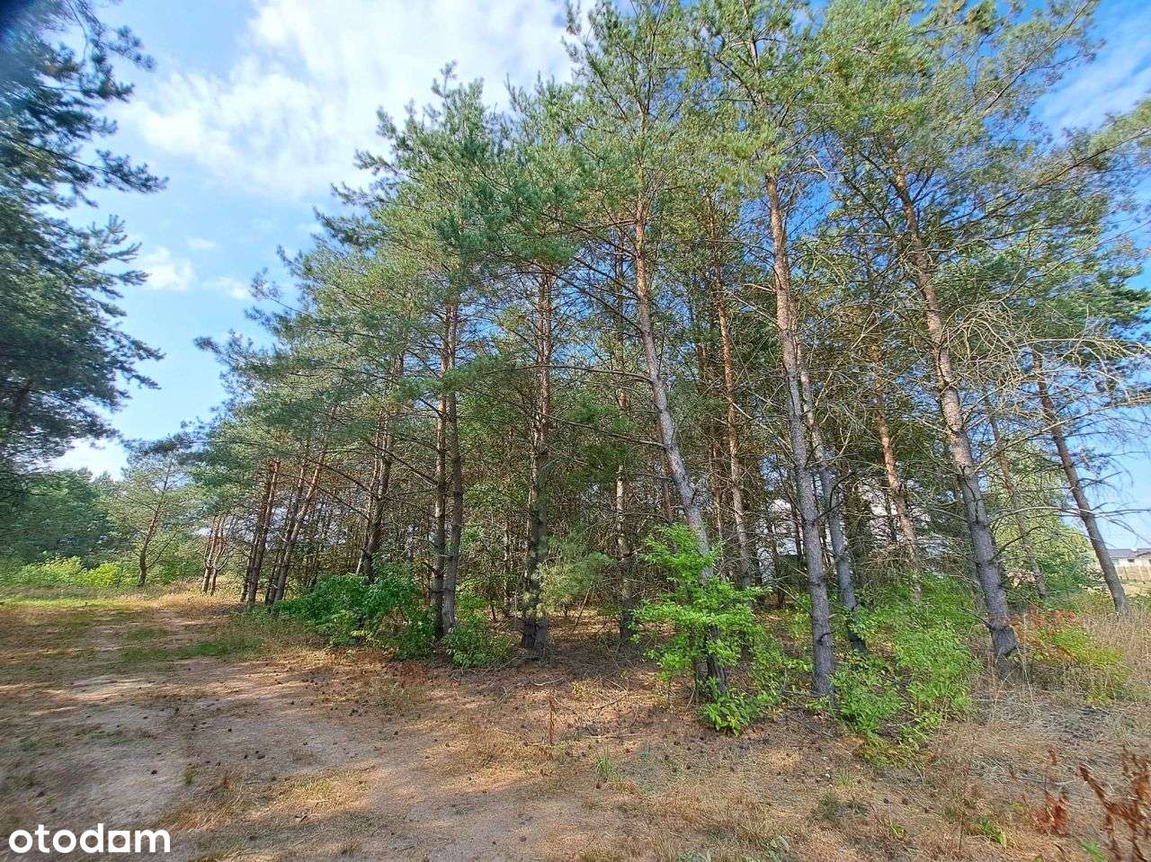 Działka pod zabudowę mieszkaniową.-3