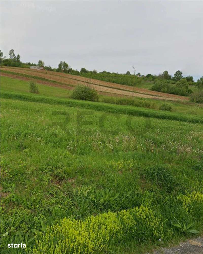 Reco Teren intravilan zona Mini Paradis - Imagine principală: 3/3