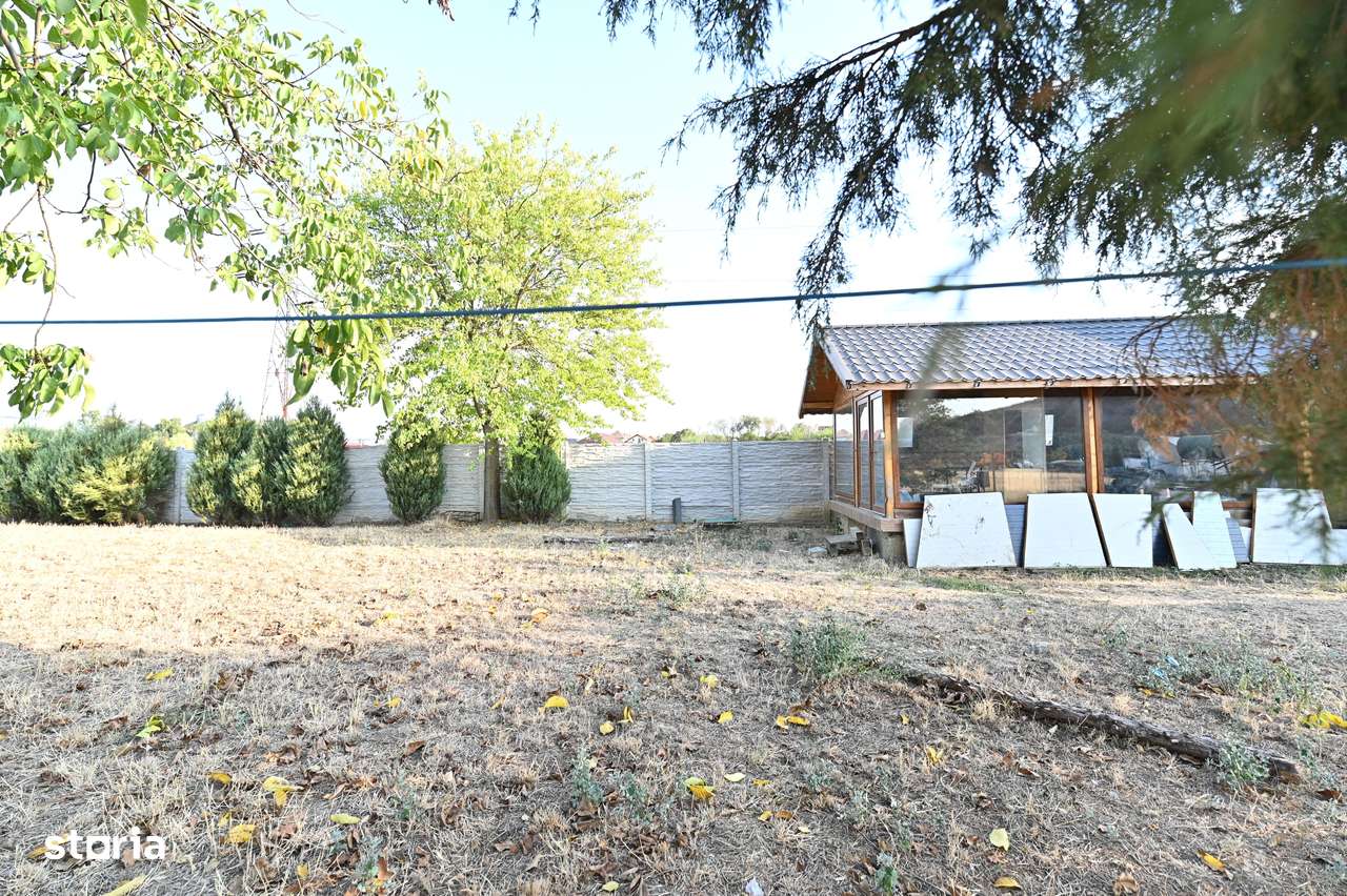 Hala de vânzare/închiriat Podari-15