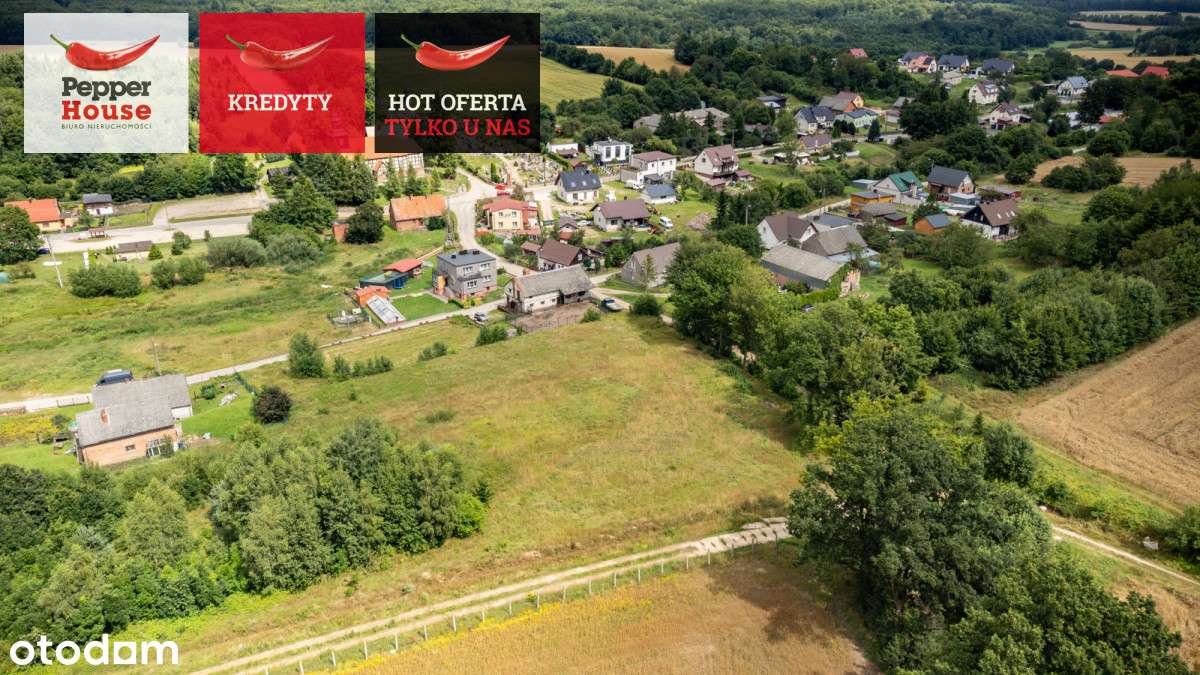 Działka | budynek gospodarczy do przekształcenia - Pełny obrazek: 4/9