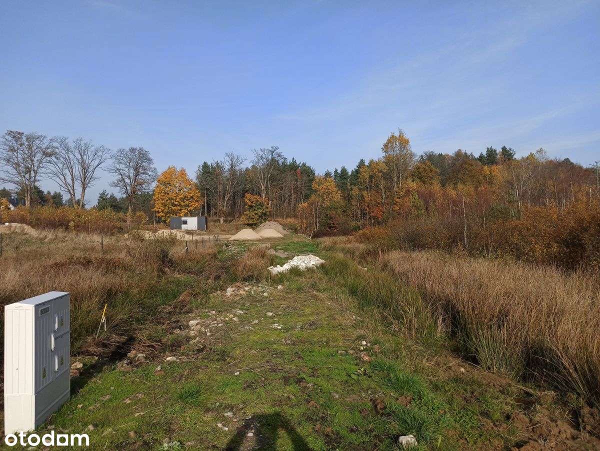 Leśniewo - działka 2369m2 z WZ z 2024r. - Pełny obrazek: 3/6