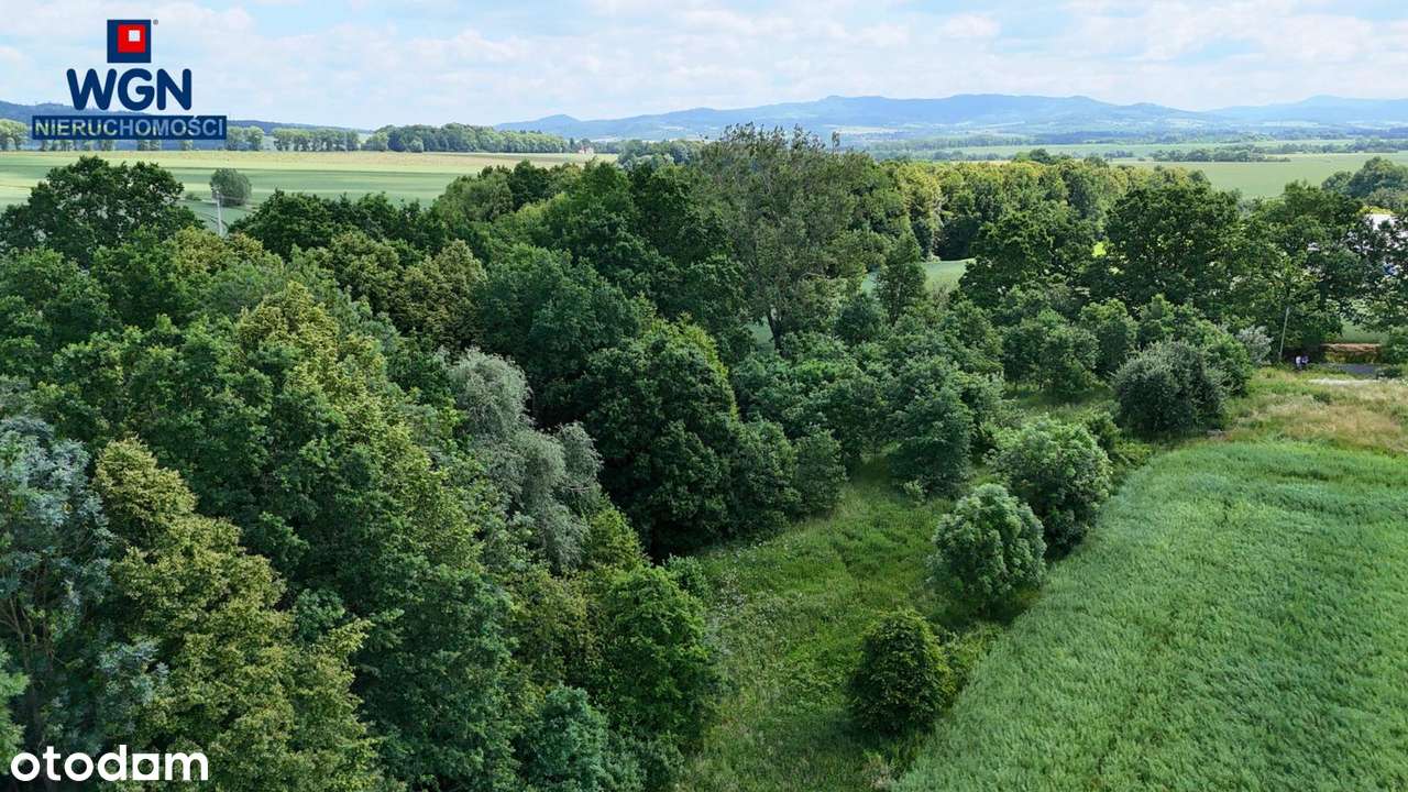 Polanica-Zdrój okolice, działka budowlana na sprzedaż.-8