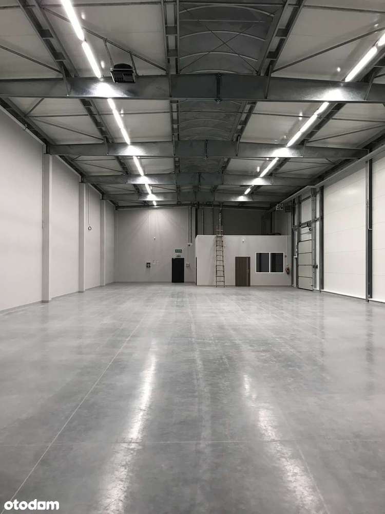 Hala magazynowa z biurem - Pełny obrazek: 4/13