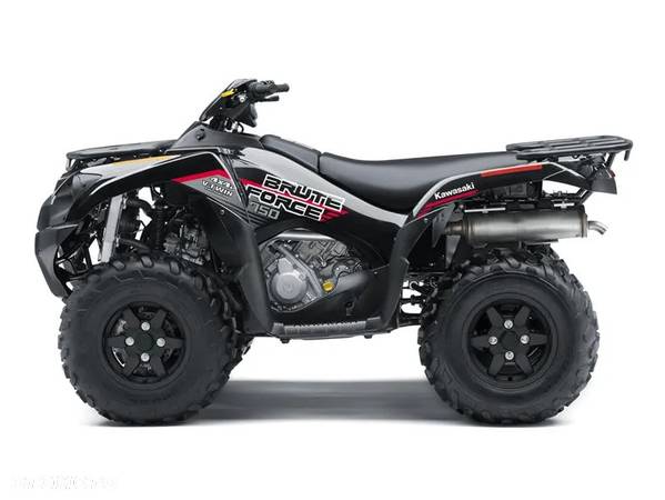 Kawasaki Brute Force - 3