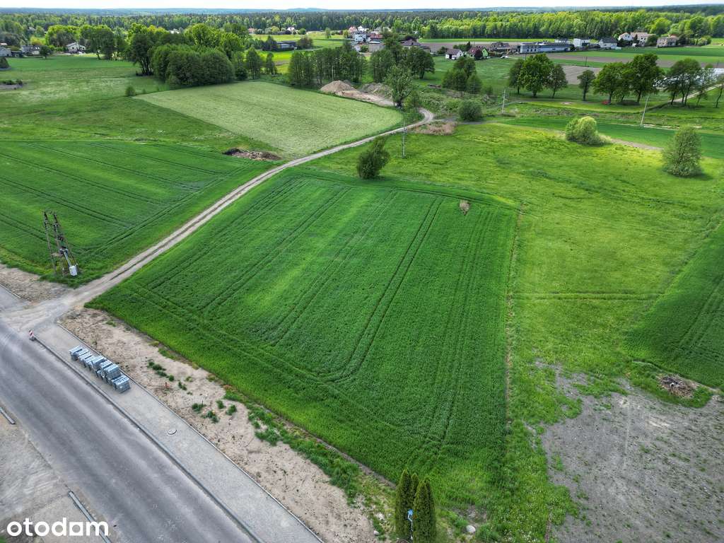Pszczyńska, przy drodze i z mediami - Pełny obrazek: 4/8