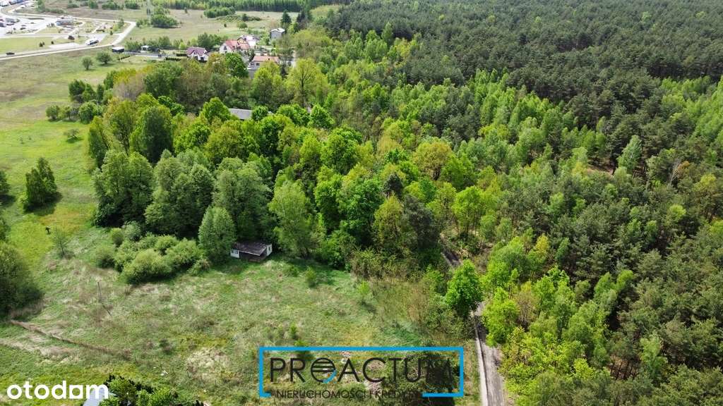 Działka w malowniczym miejscu blisko lasu. - Pełny obrazek: 4/5