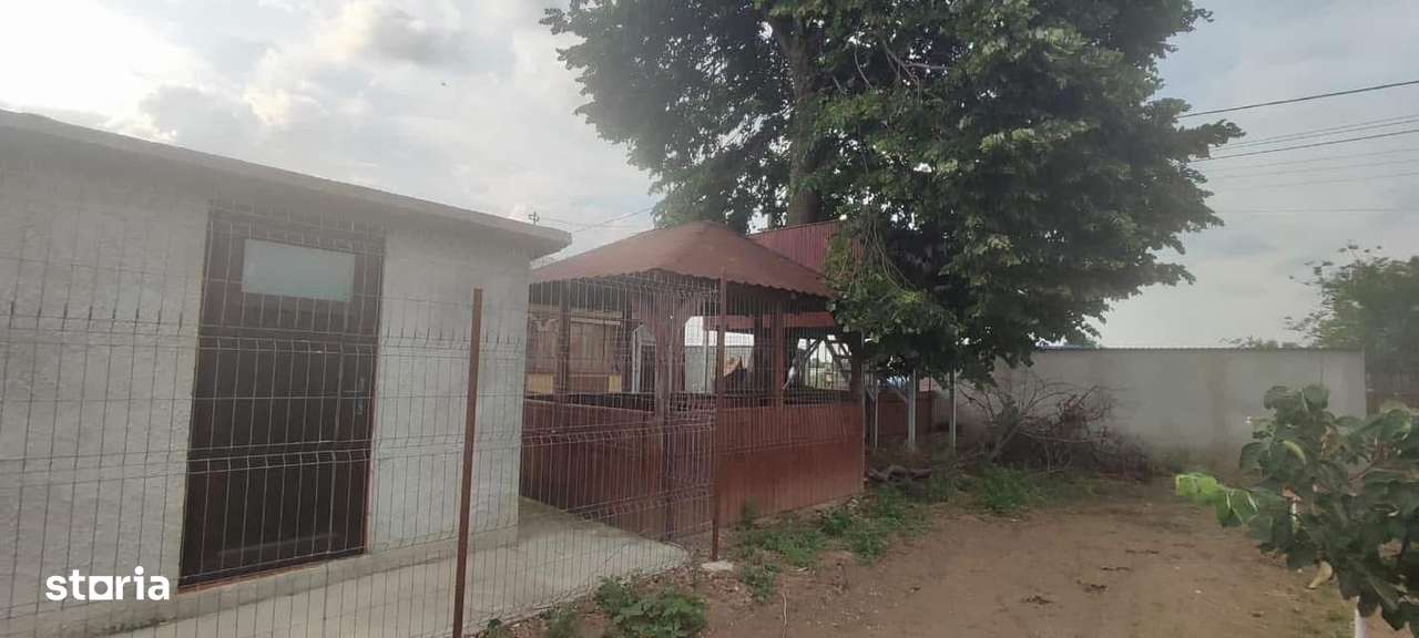 Casa 5 camere cu livada 2200 mp- Varasti-8