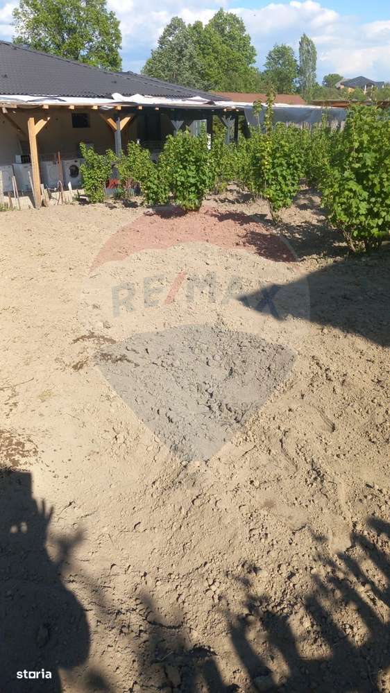 Teren 1,800mp Satu Nou de Sus / Strada Tineretului - Imagine principală: 5/6