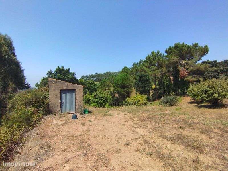 Terreno Rústico para exploração agricola com 57.324m2 - Grande imagem: 4/10