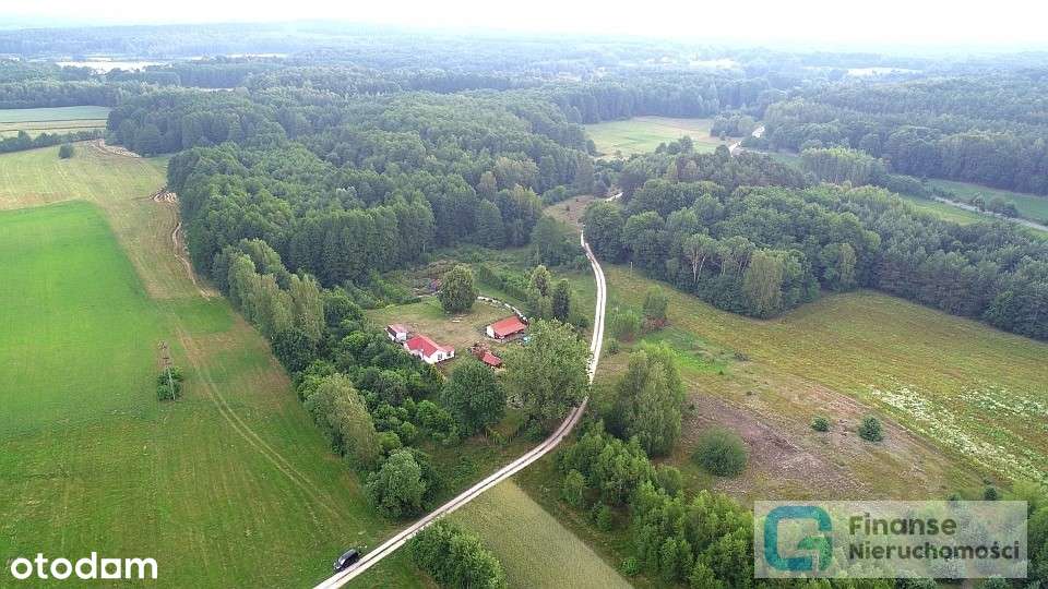 Działka pod zabudowę z lasem, Byliny Nowe - Pełny obrazek: 4/10