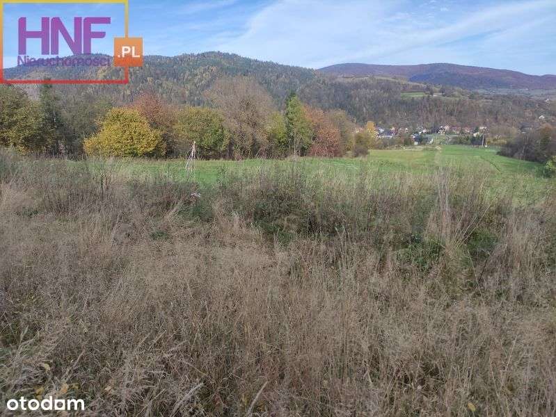 Działka 24ar w Kamienicy - Pełny obrazek: 4/12