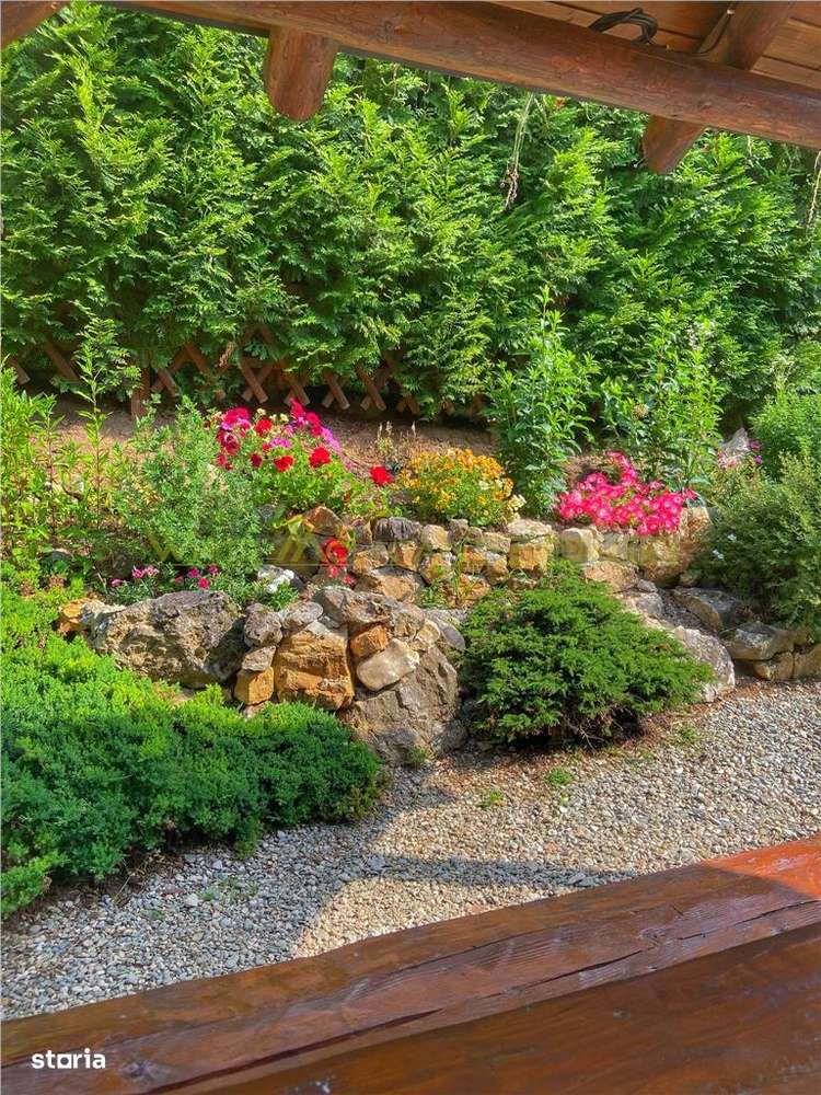 Raritate| Teren de vis de  6 ha de vanzare in Pestera Brasov-17