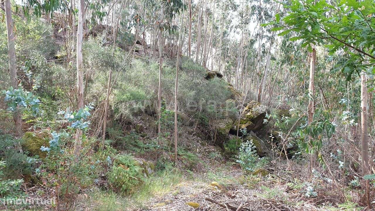 Terreno com 29.980 m2 em Cabeceiras de Basto - Grande imagem: 5/14