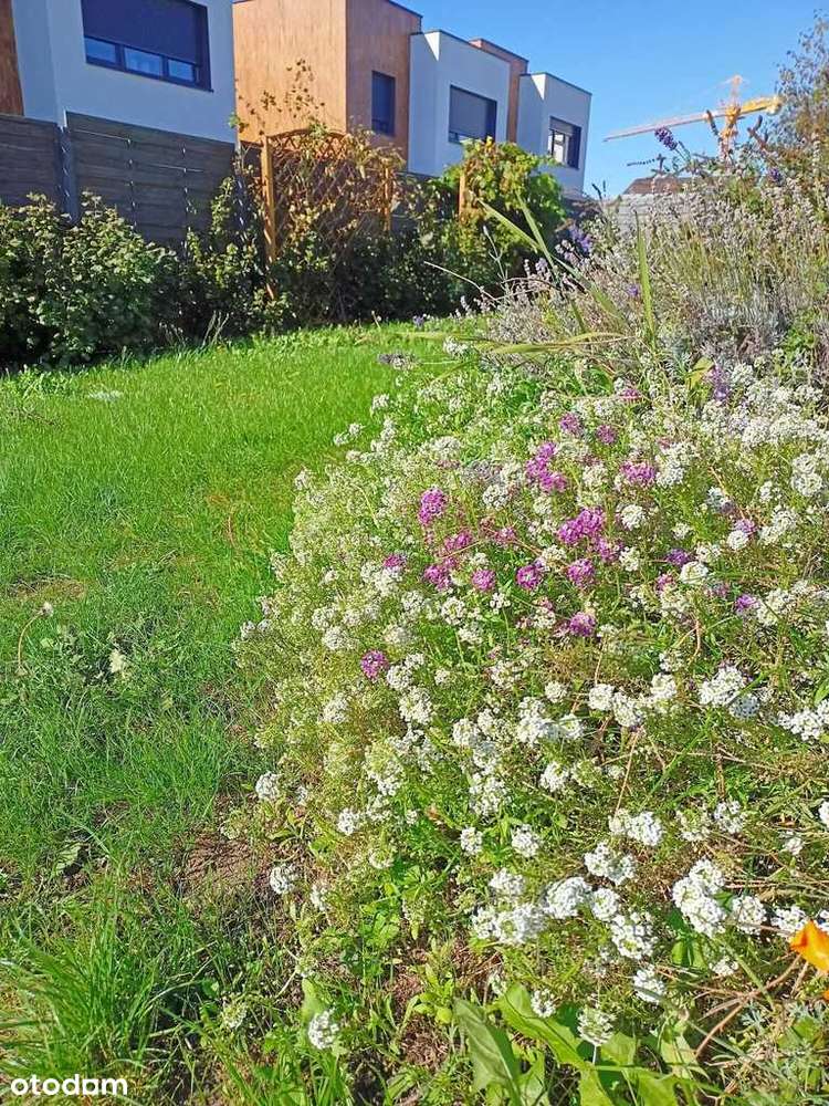 Mieszkanie z ogródkiem Szczepanowice-15