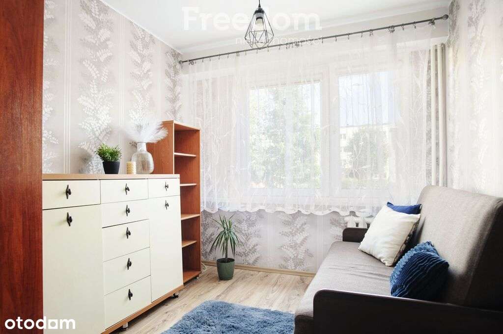 2-pokojowe mieszkanie w atrakcyjnej lokalizacji - Pełny obrazek: 2/11