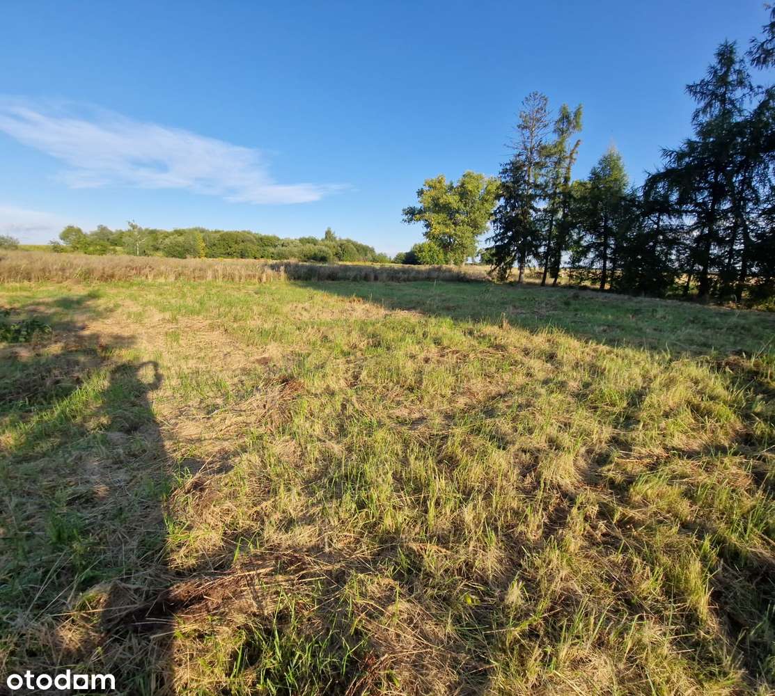 Na sprzedaż działka budowlana w Łące Prudnickiej o pow. 28,53 ara - Pełny obrazek: 5/8