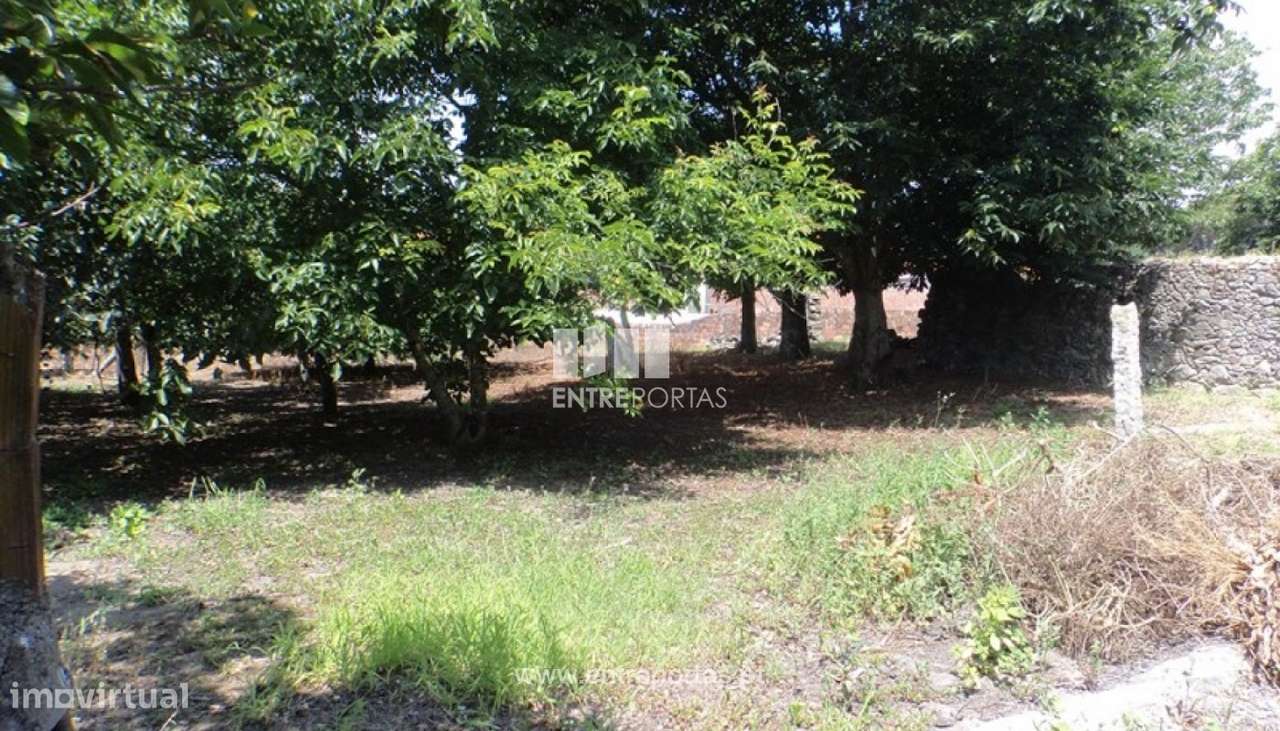 Venda de Terreno, Meadela, Viana do Castelo - Grande imagem: 4/10