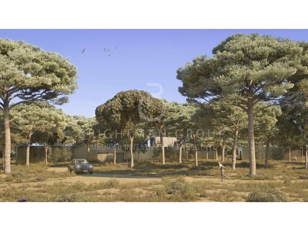 Terreno com projeto aprovado,na Comporta - Grande imagem: 4/15