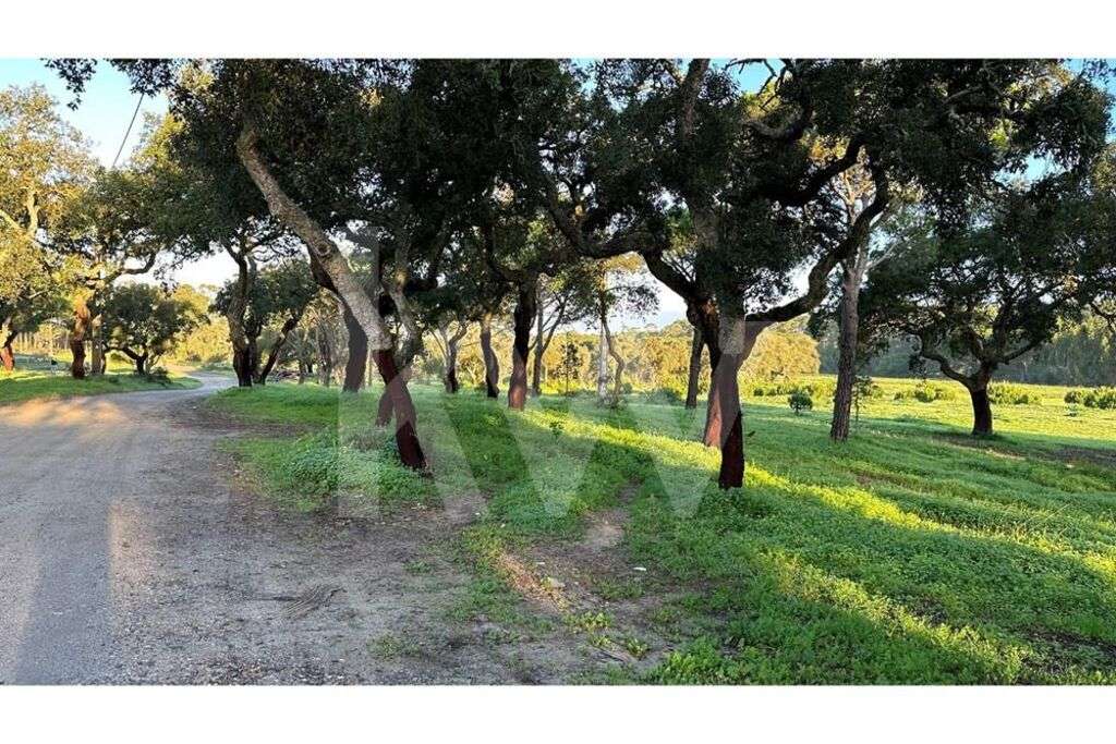 TERRENO INDUSTRIAL NA ZIL DE SINES - Grande imagem: 4/26