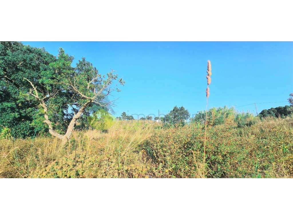 Terreno Urbano com viabilidade de construção até 3 Moradias com exc...-9