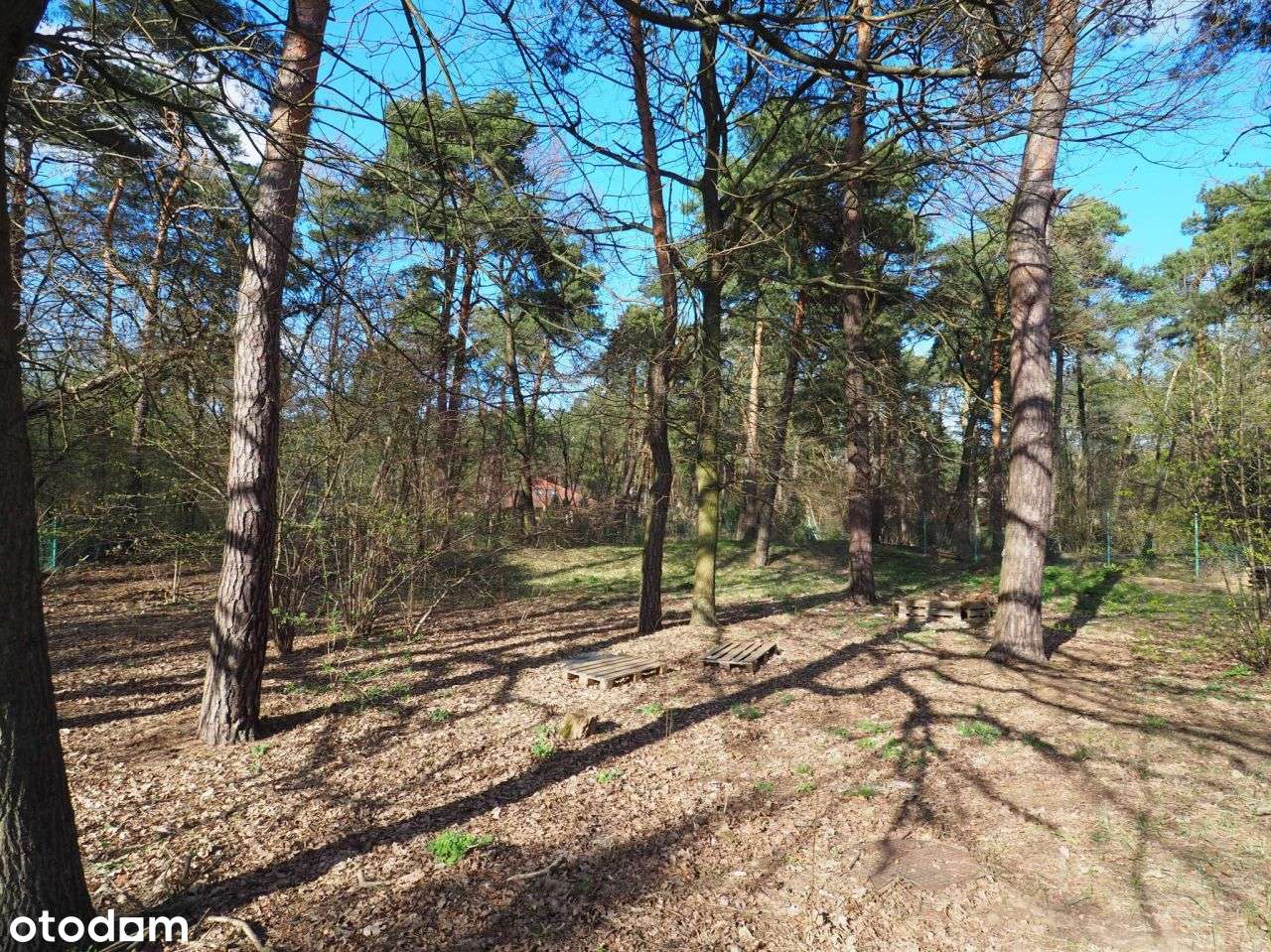 Dom położony na dużej zalesionej działce.-7