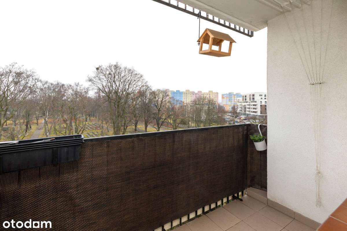 2pok z oddzielną kuchnią | po remoncie | Zaspa-11