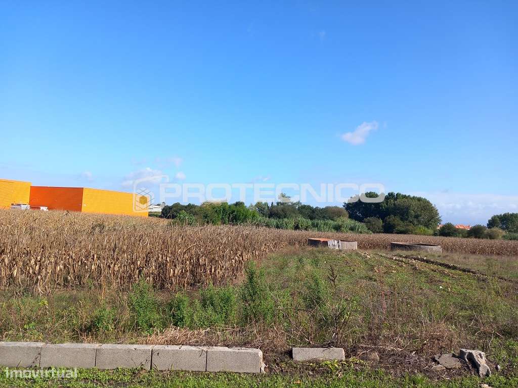 Terreno p/ construção – Oliveirinha - Grande imagem: 4/5