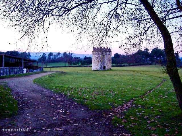 Quinta de 60 ha – Um refúgio natural com potencial ilimitado - Grande imagem: 4/12