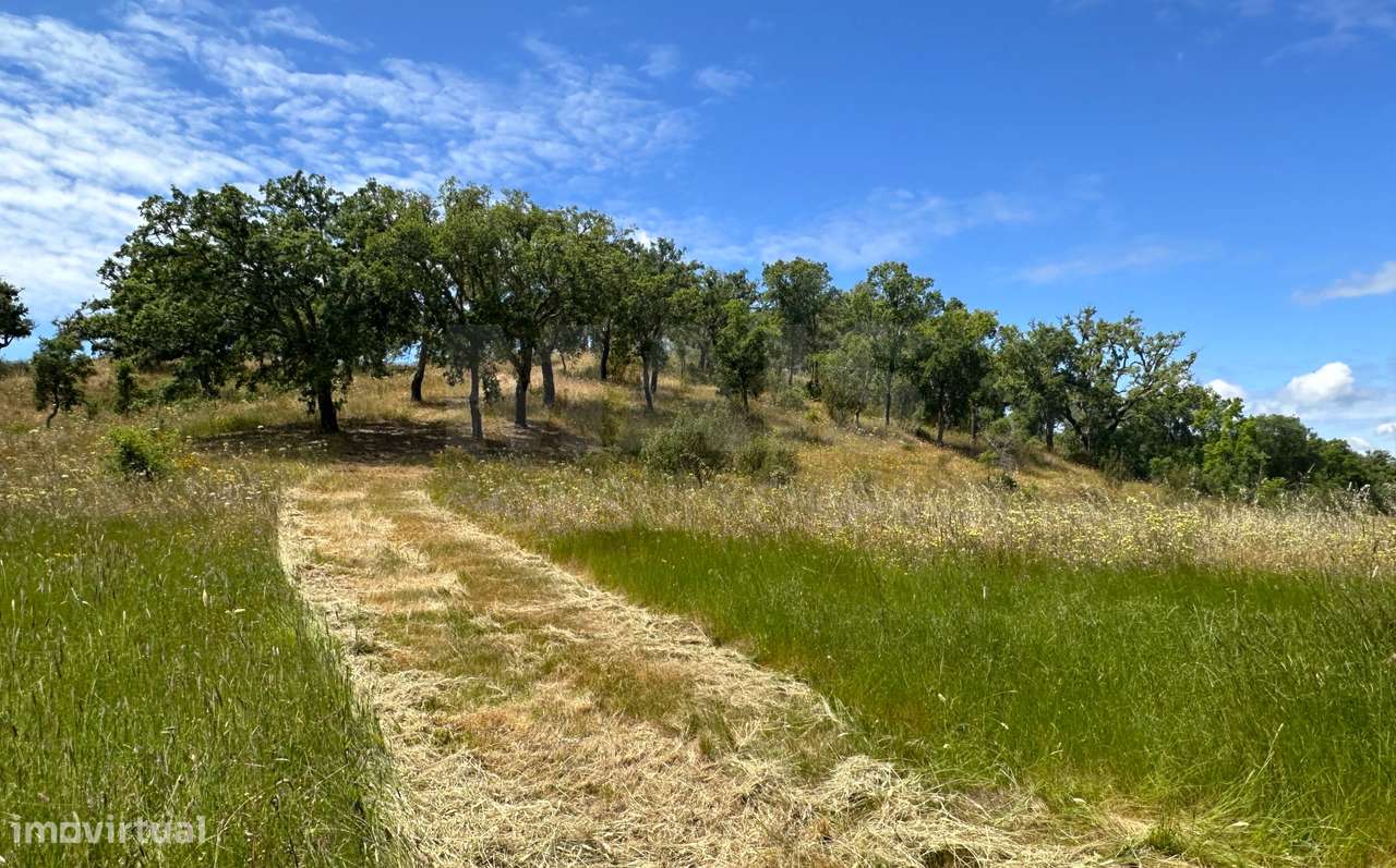Herdade para Construção 11,6 hectares em São Bartolomeu da Serra, S... - Grande imagem: 4/50