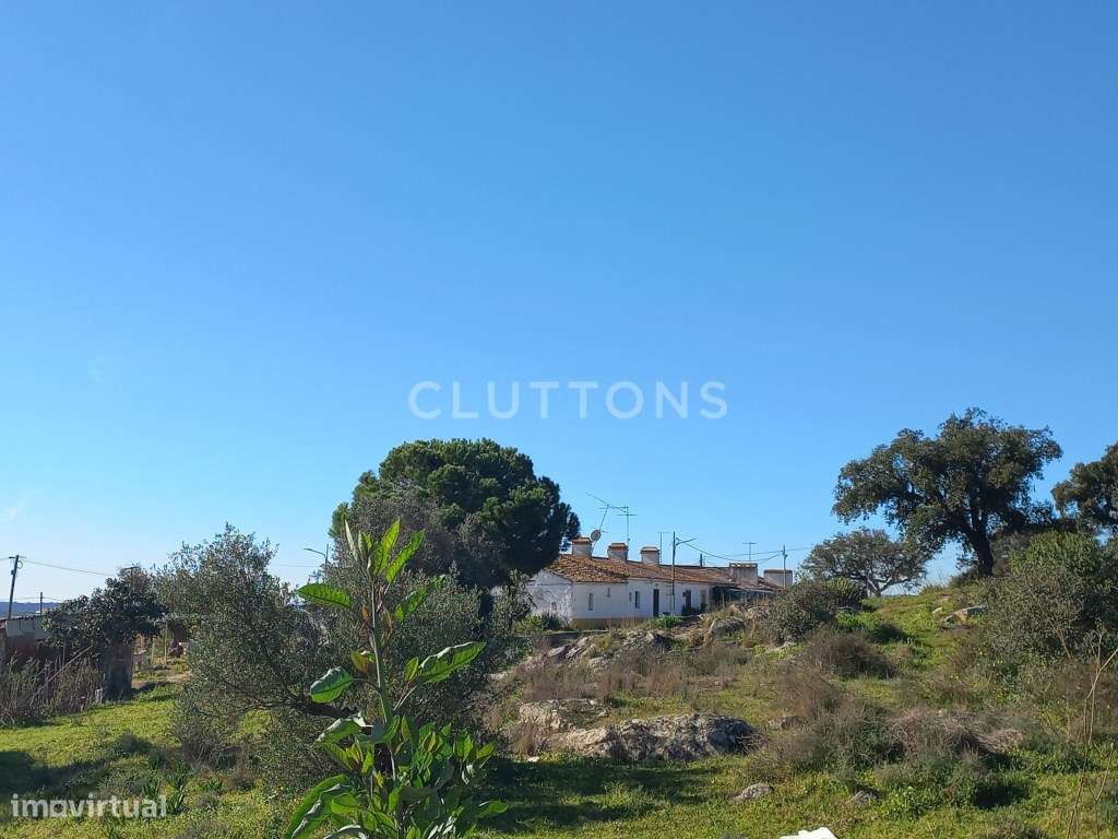 Terreno - Quinta, Investimento, 12 hectares e 844 m2 edificados, Évora-22