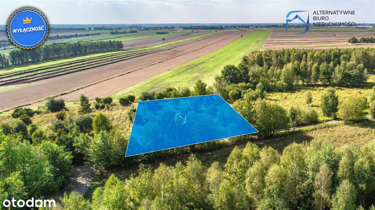 Działka budowlana Gm. Niemce m. Swoboda - Pełny obrazek: 1/19