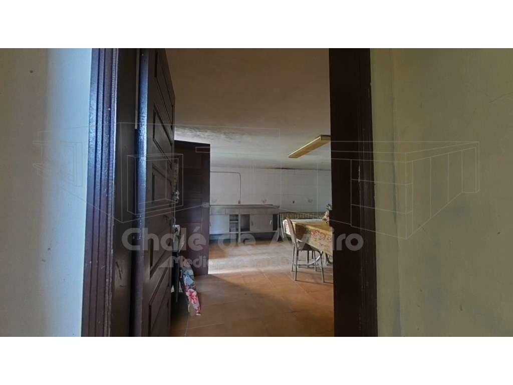 Quinta com 5.000 m2 e casa habitação T5 em Águeda-31