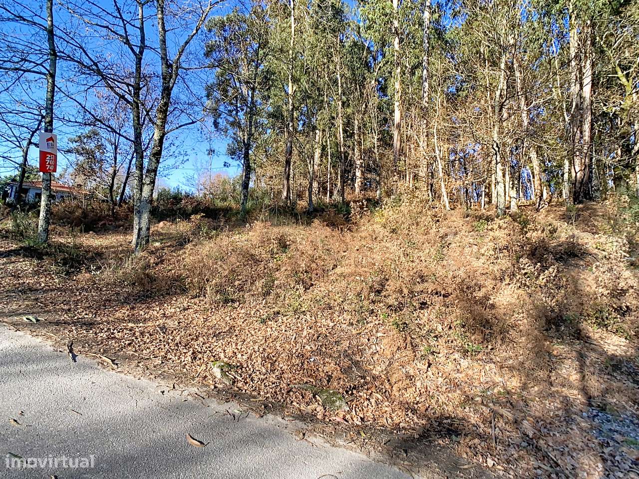 Terreno em Moreira do Rei-3