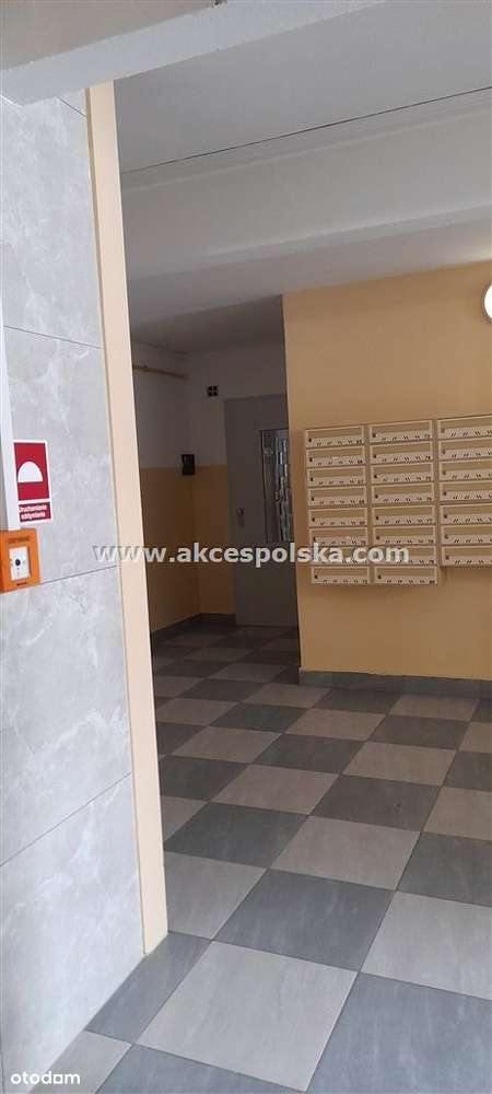 2 pokoje, rozkładowe, szybka komunikacja tramwajem-5