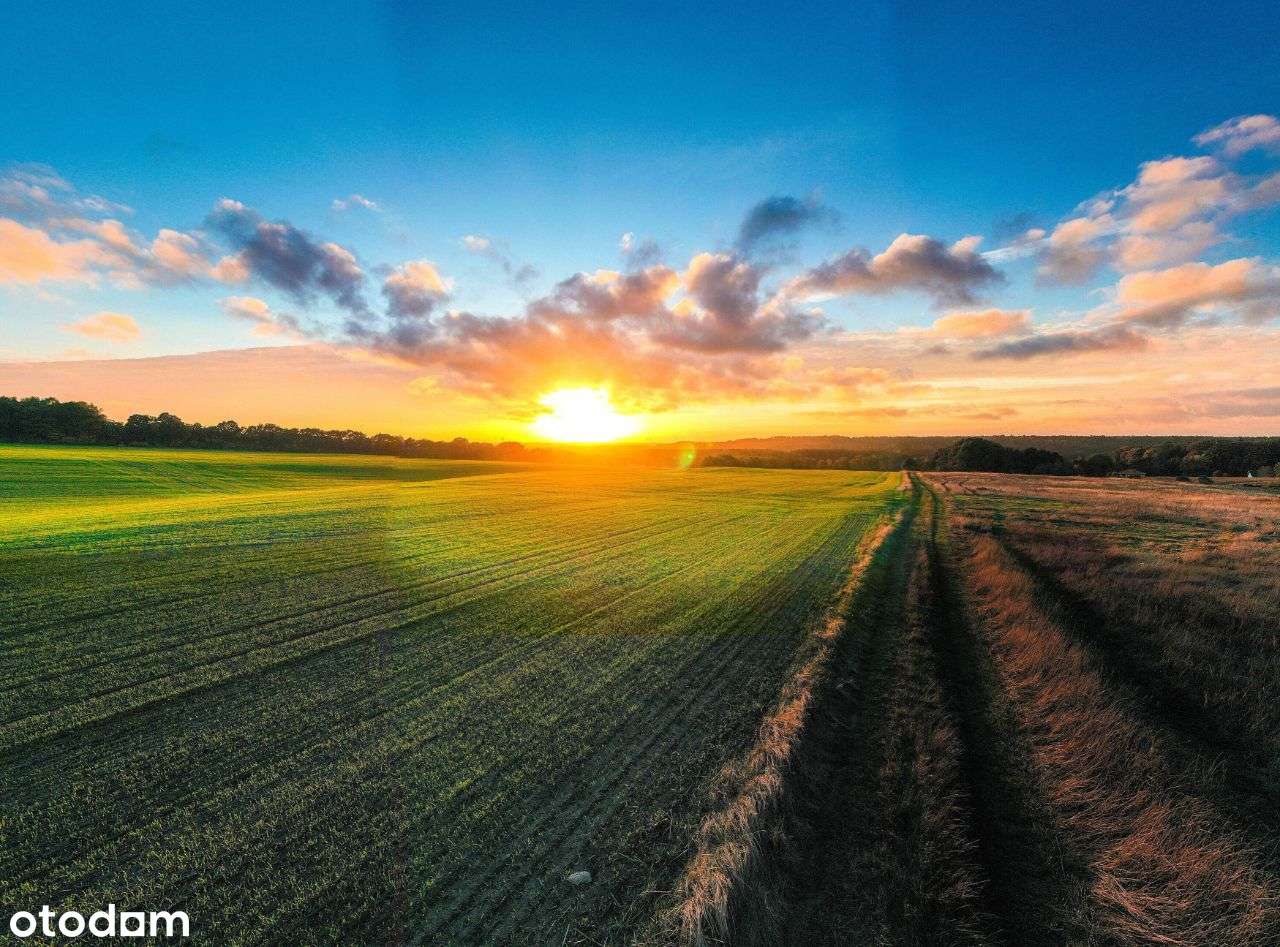 działki budowlane - Płaszewko ETAP II-2